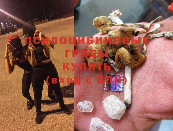 герыч Белокуриха